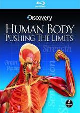 Discovery-��ս���޺���