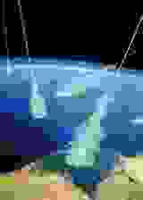 �����ź�ӡ�Ⱥ��ձ�ը֤�ݺ���