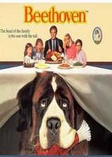 �޵е��Һ���