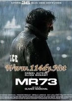 MR73����ǹ����