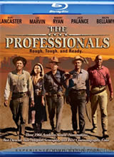 ְҵ����/�Ļ���/��Ұ����(The Professionals)����