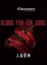 Discovery-��Ѫ���񺣱�
