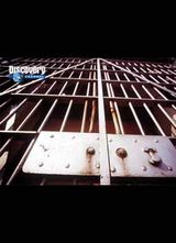 Discovery-ԩ�����麣��