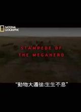 ���ҵ���-�����Ǩ�㺣��