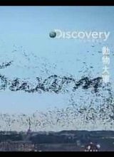 Discovery-����������