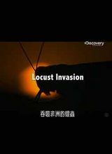 Discovery-���ɷ��޵Ļȳ溣��