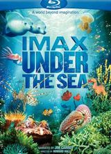 IMAX���������纣��