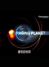 Discovery-��ŭ�ĵ��������
