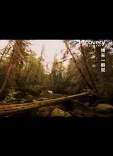 Discovery-����һ˲�亣��