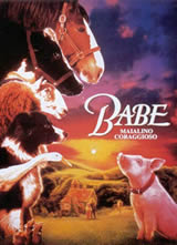 С������/С���ͱ�/babe����