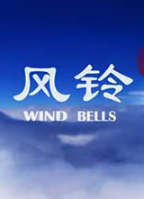 ���庣��