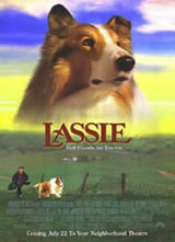 ����Ȯ����(1994)����