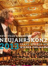 2013��άҲ���������ֻả��
