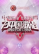 2014�������ӿ�������ʢ�亣��