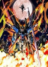 ����սʿ�ߴ�seed destiny�������ƺ���