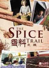 ����֮·����