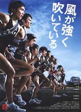 ǿ�紵��/ǿ����������