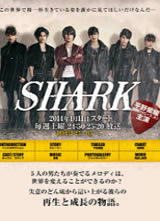 SHARK����