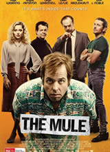 ����/The Mule����