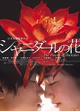 ɳ����֮������
