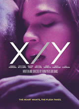 ������X����Y X/Y����