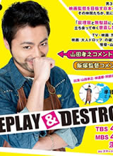 REPLAY & DESTROY����