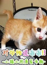 �ٸ��ʵ�̽���� ��лС���� ������������˭������SP����