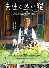 ʦ����·è����