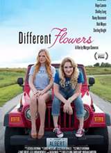 Different Flowers/�������껨��ͬ����