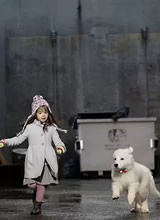 ʥ����������