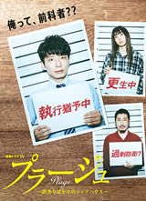 Plage�������������۵ĺ����ݡ�����