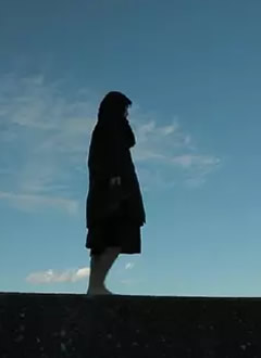 ���˰�ĸ��麣��