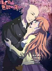 ��ɮ�½��ϵ�ɫ��֮ҹ����