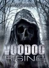 �׶����� Voodoo Rising����