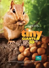 С���� 3D����