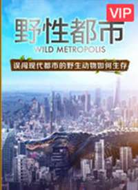Ұ�Զ��к���