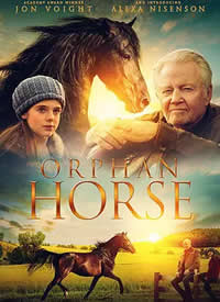 Orphan Horse����