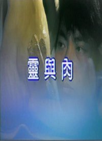 ������ ̨��溣��