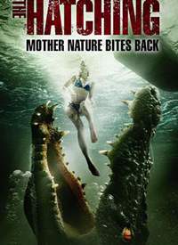 Σ�շ�������