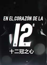 ʮ����֮�ĺ���
