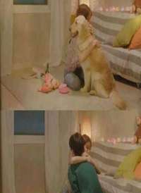 ������һ���İ��麣��
