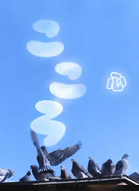 NHK����磺�ĺ���