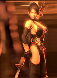 Kunoichi 2: Fall of the Shrinemaiden����