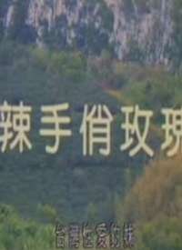 ������õ�庣��
