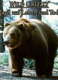 ��ɫҰ�ܺ���