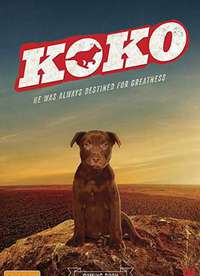Koko:��Ȯ���ռǺ���