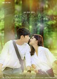 ɭ�� Forest����