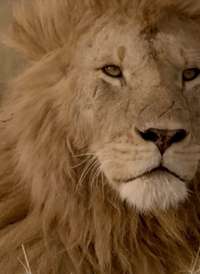 ���䶯����Һ���