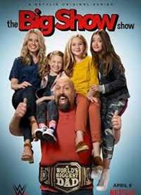 BigShow�İ԰�����ڶ�������