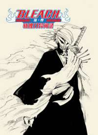 bleach������ն�ǵ�����¼����